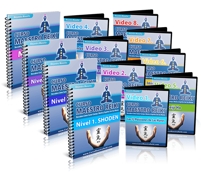 niveles curso maestro rieki